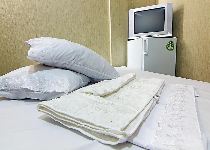 Tokyo Star Economy Hotel *